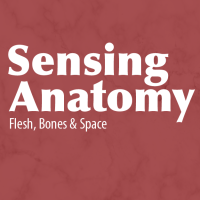 sensing anatomy logo